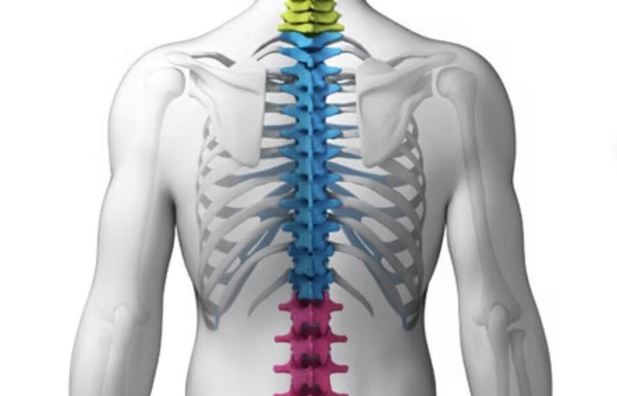 Chiropractic Care