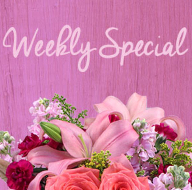 Special Offers