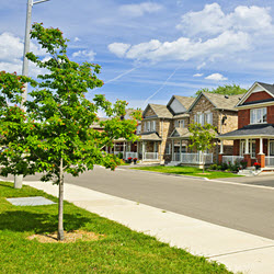 Real Estate Service