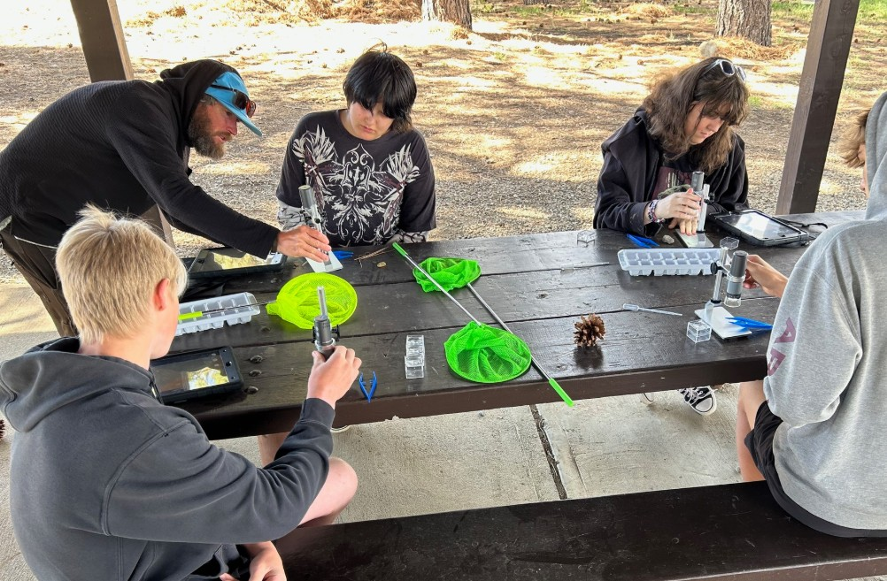 Work Based Learning