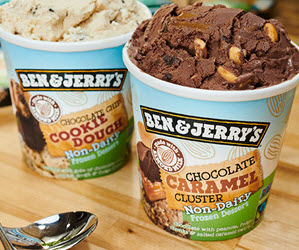 Non-Dairy Pints