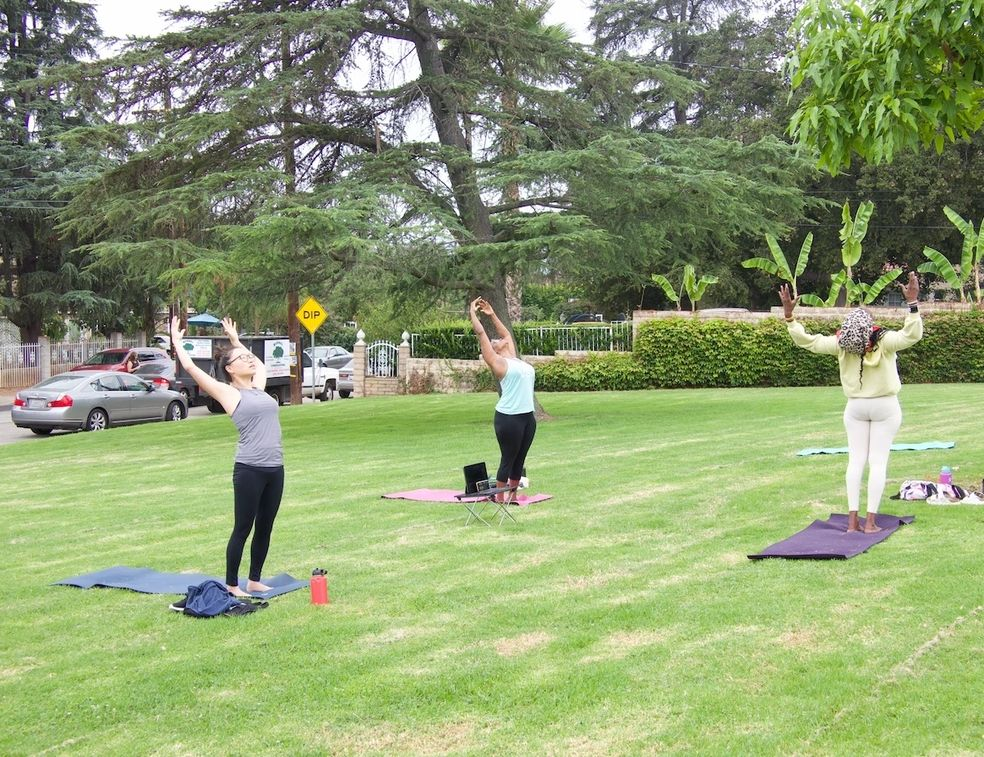  P.E.A.C.E. in the Park