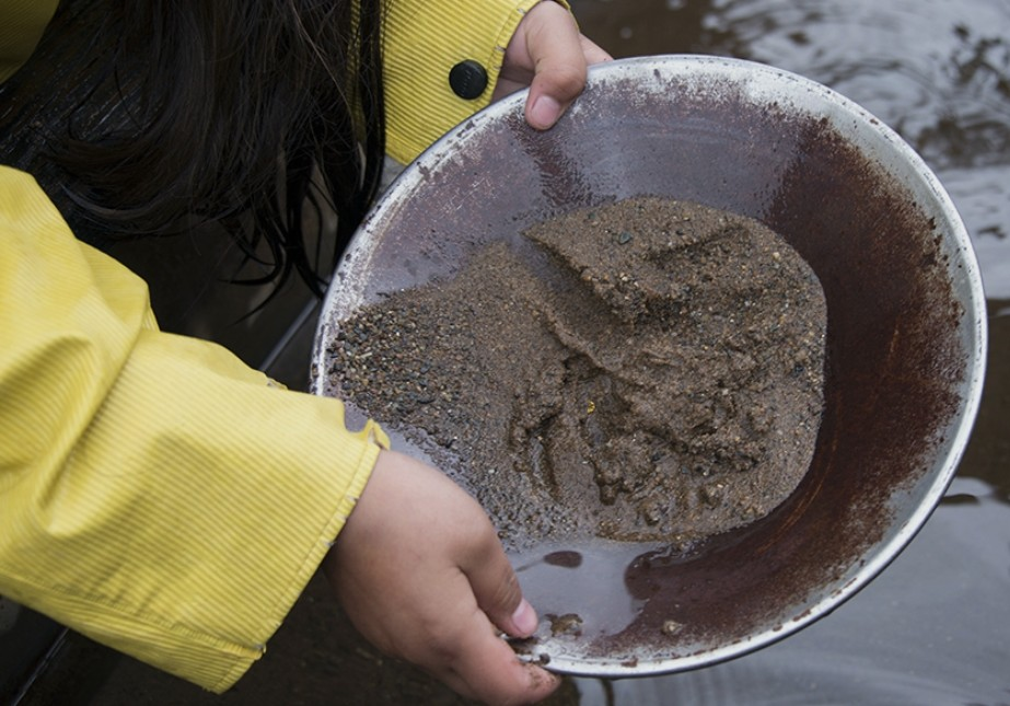 Gold Panning