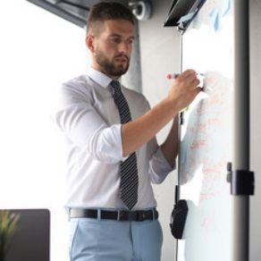 DISC Consultant