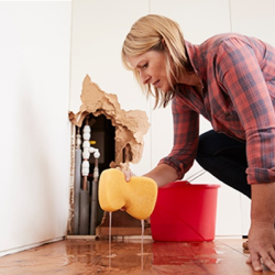Water Damage Restoration