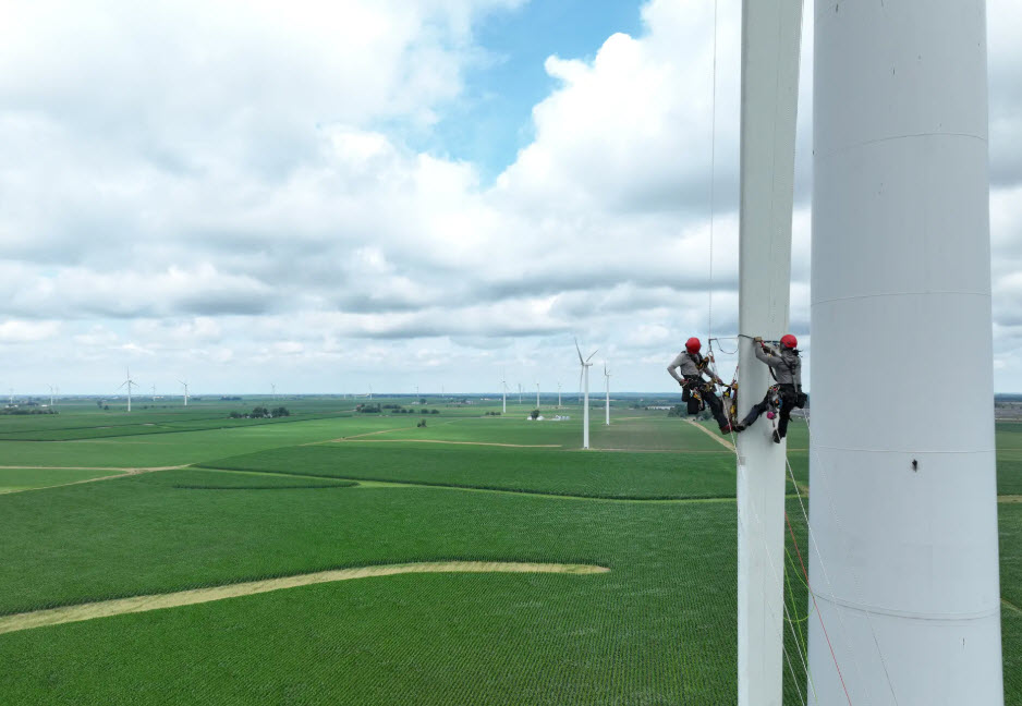 Field Services