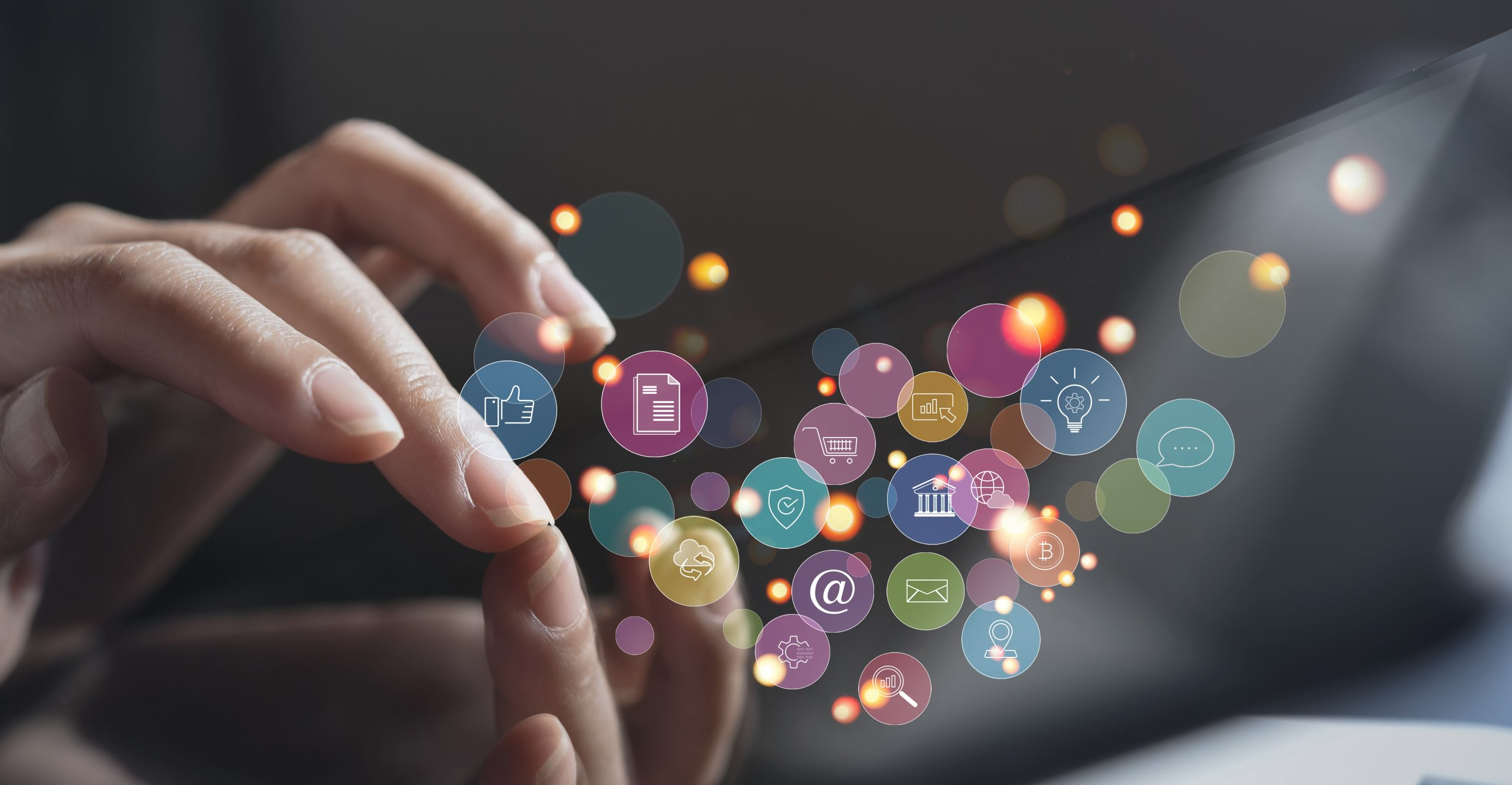 SEO Management