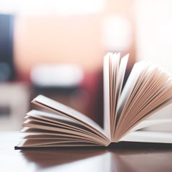 Trauma Focused Cognitive Behavioral Therapy  (TF-CBT)