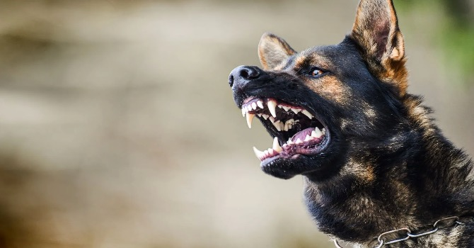 Behavior Modification