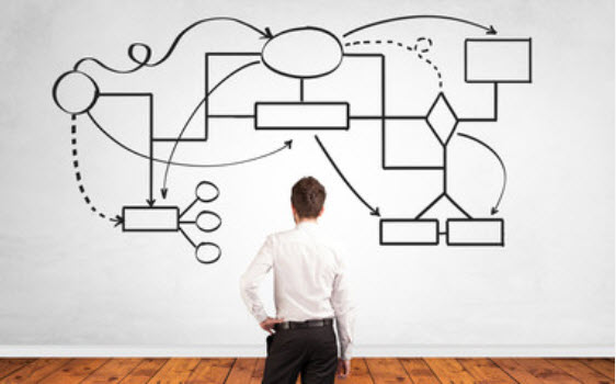 Organizational Structure Portrait