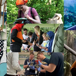 Open Lab Programs
