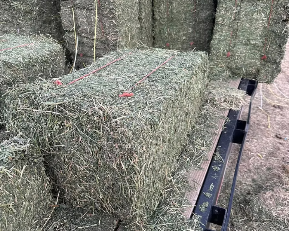 Hay