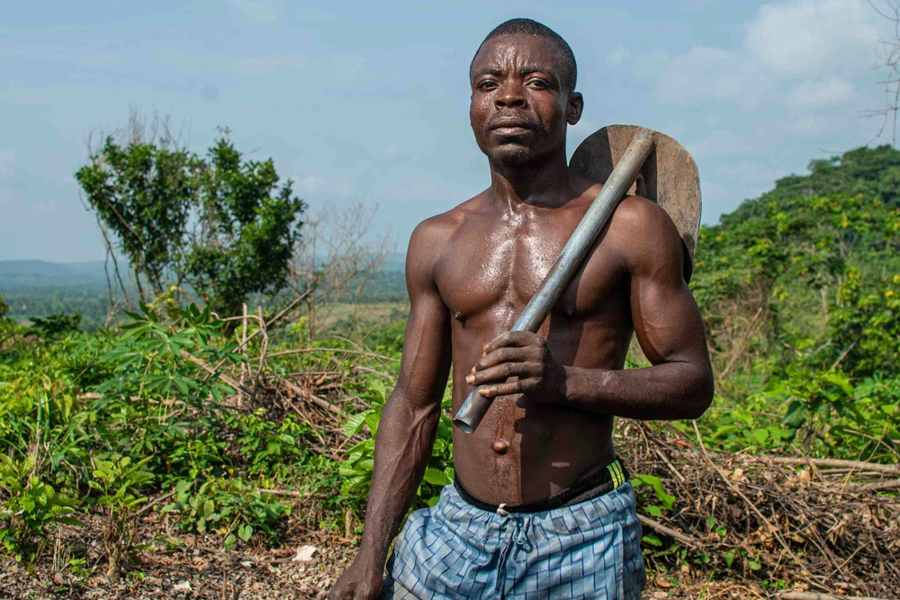 Agricultural Development