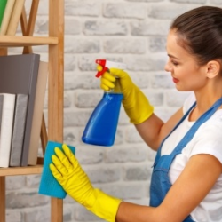 Home Sanitizing Services