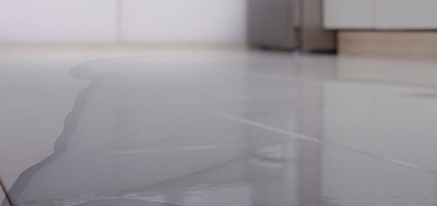 Water Damage Restoration & Repair