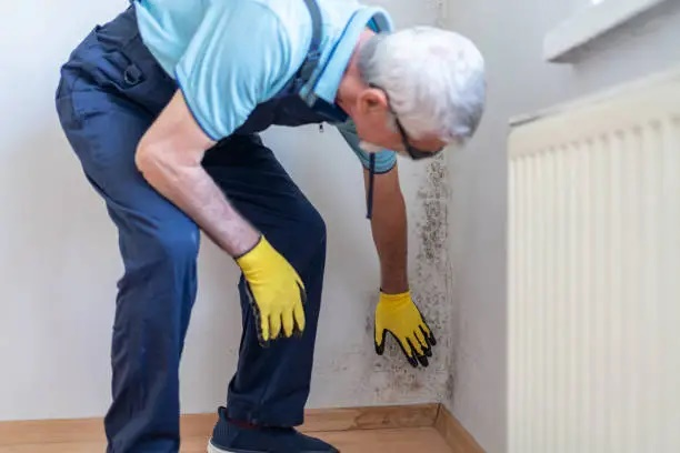 Residential Mold Testing