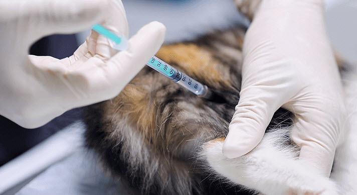 Vaccinations