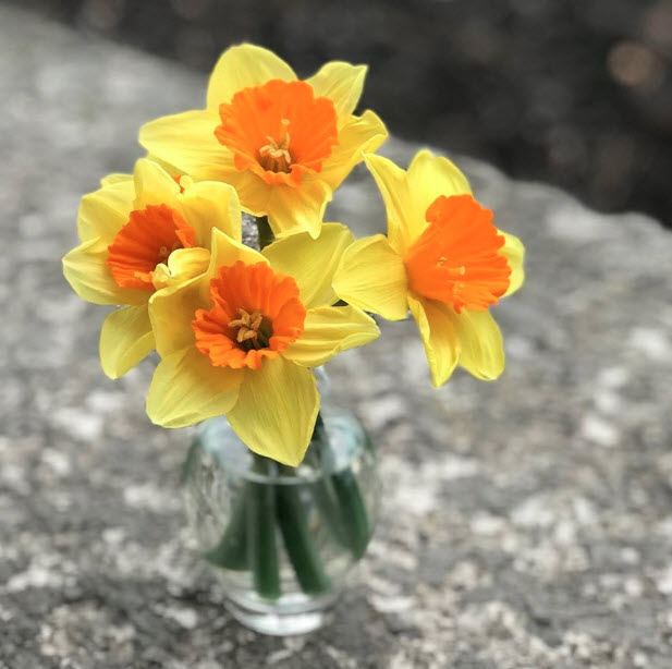 Modern Flowers