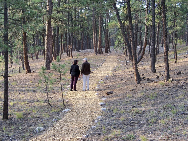 Spiritual Direction (Companioning)