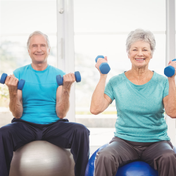 Preventative and Geriatric Therapy