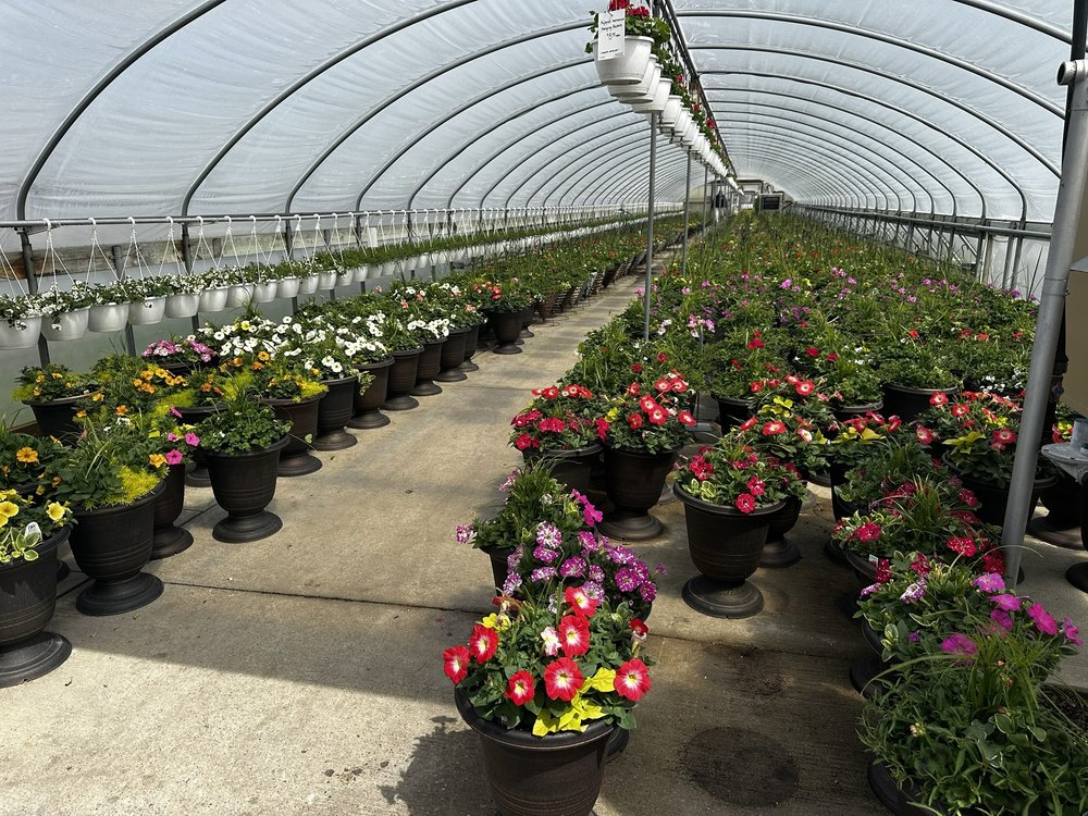Greenhouse