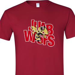 DTF & Screen Printing Services
