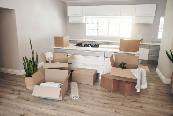 Move in/ Move Out Cleans