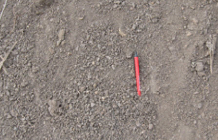 Dirt