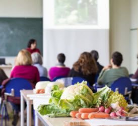 Lectures and Workshops