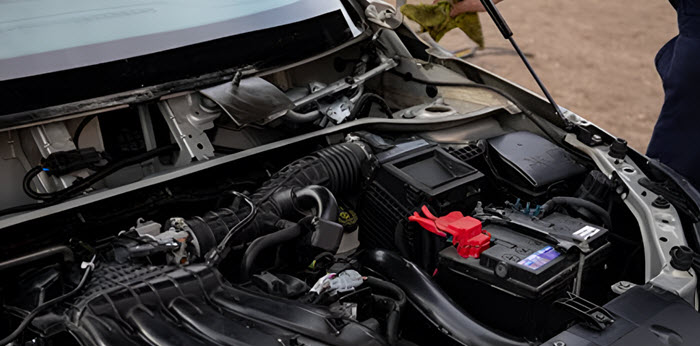 Truck & Automotive