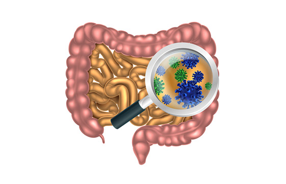 Gut Health