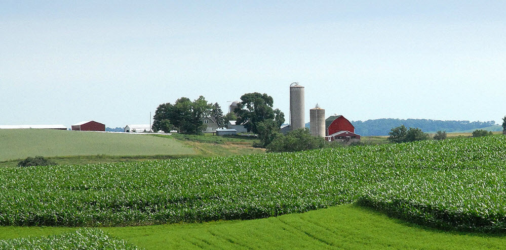 For your Farm
