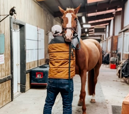 Horse Chiropractic