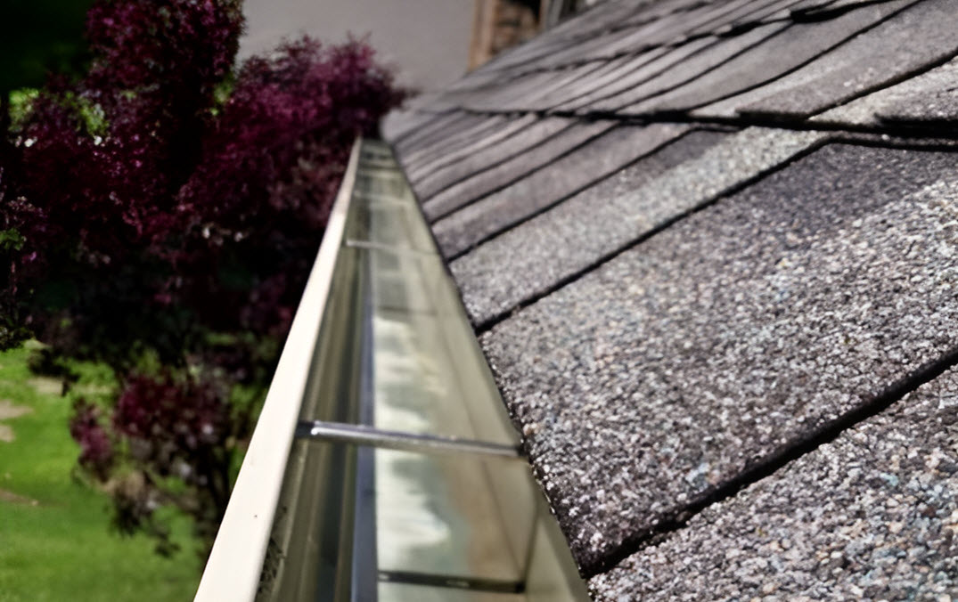 Gutter Cleaning