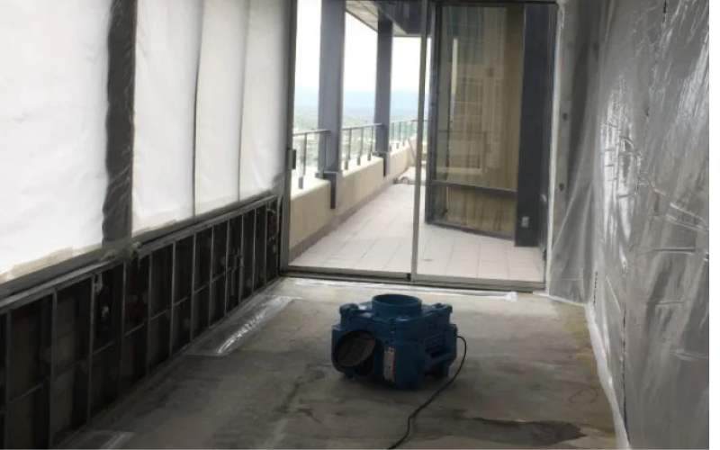 Mold Removal Services