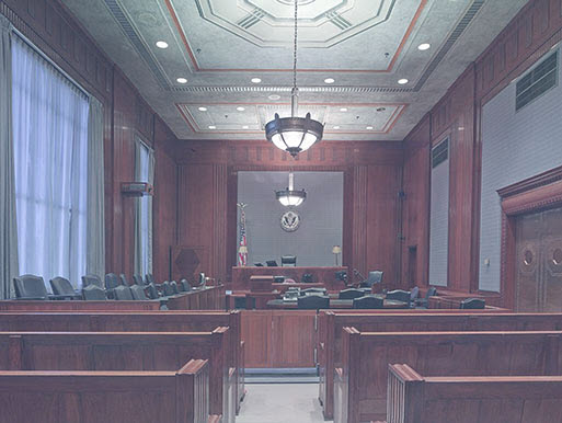 Liability and Insurance Defense