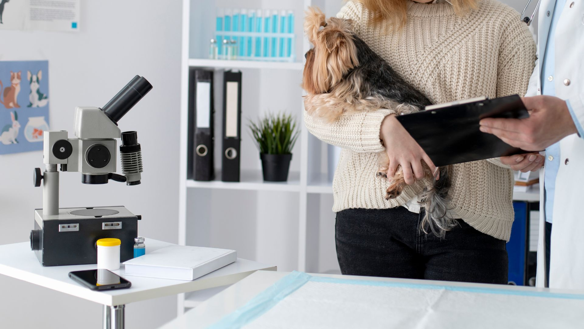 Pet Diagnostic Lab Testing