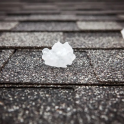 Asphalt Shingle