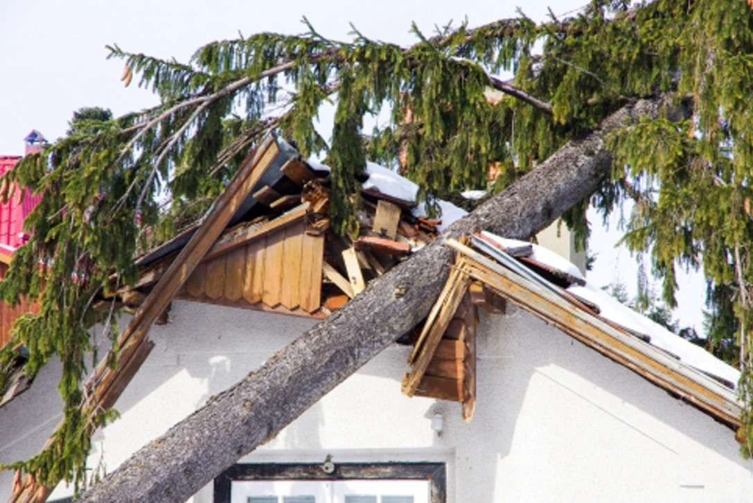 Storm Damage