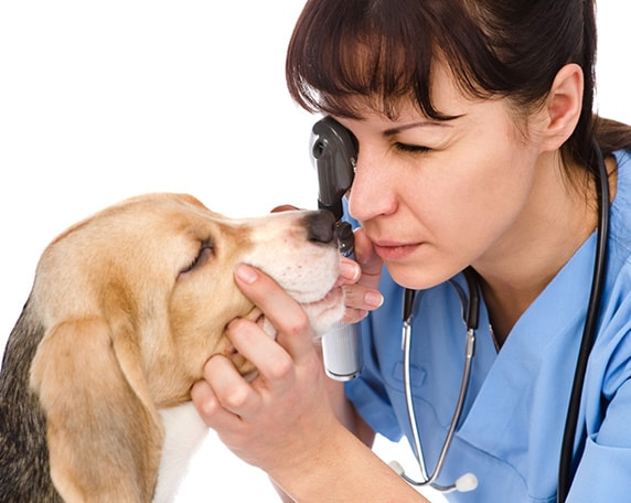 Preventative Care