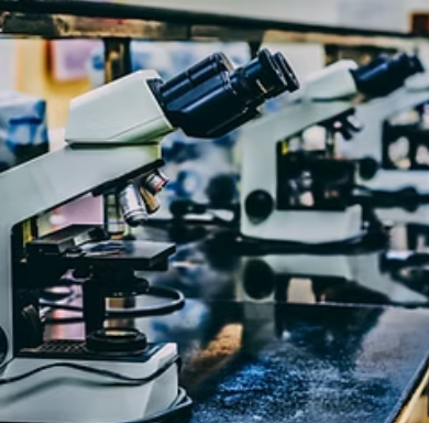 Clinical & Translational Research