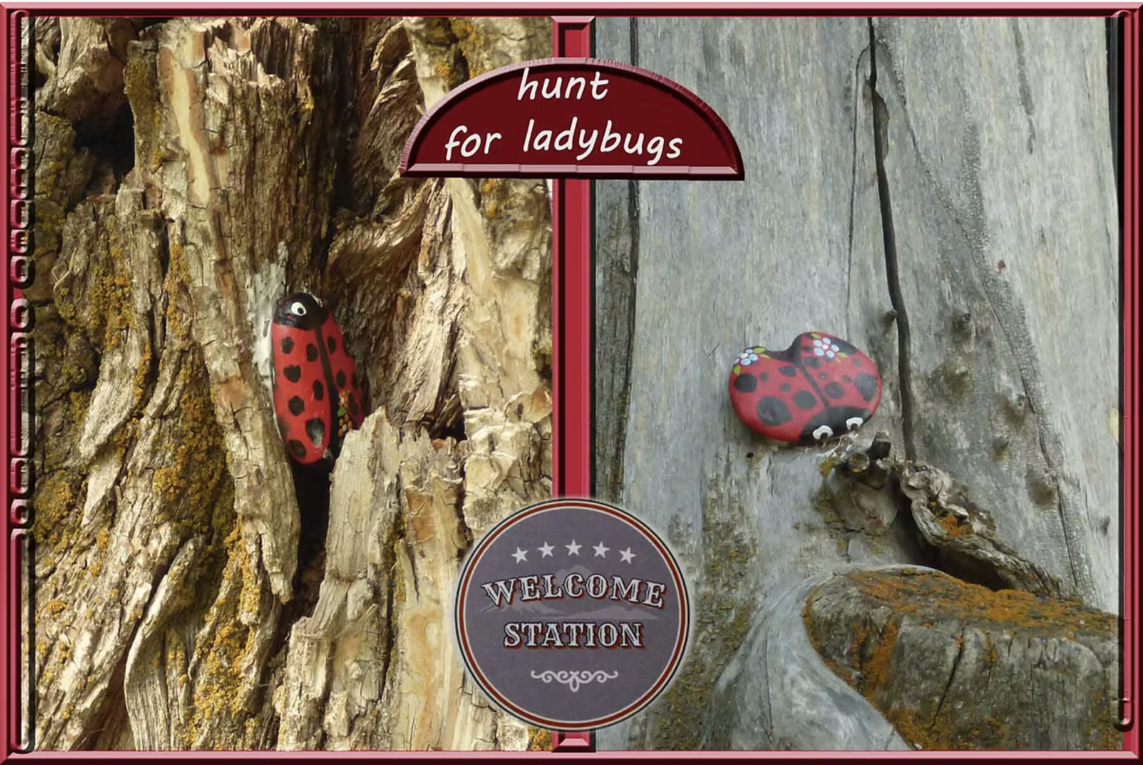 Ladybug Scavenger Hunt