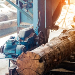 Cutting Logs