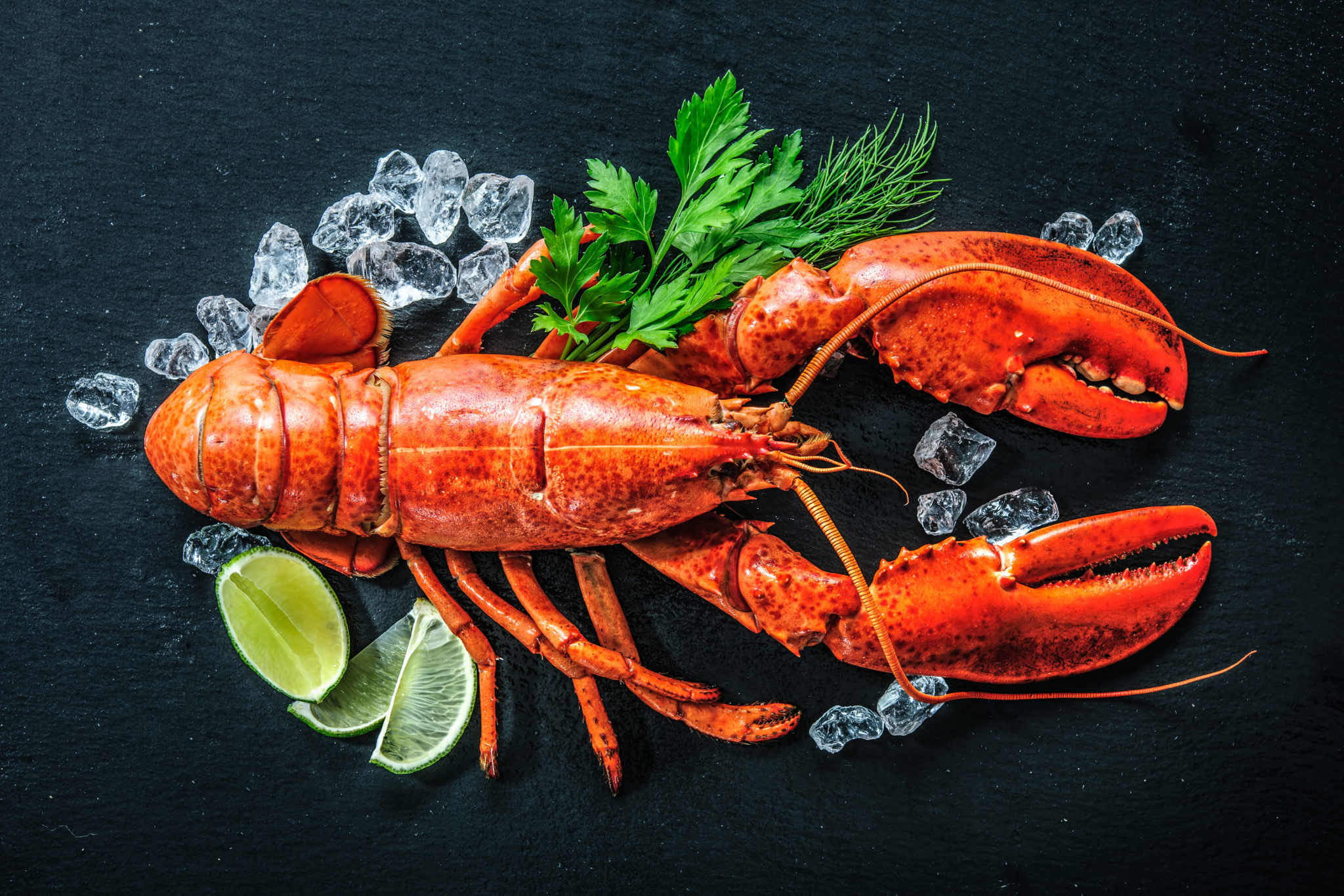 Fish & Seafood