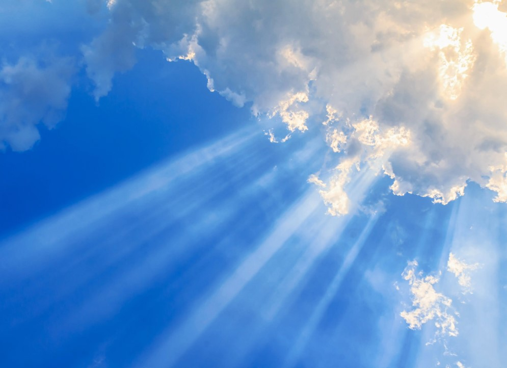 Zoom Service – T-3 Family Grief Support Program