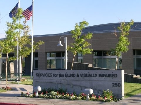 Services for the Blind and Visually Impaired
