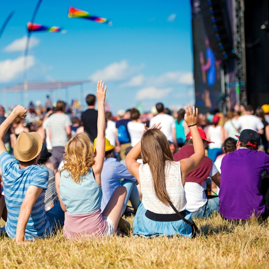 Music Festival Security