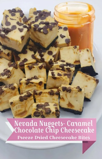 Freeze Dried Cookies and Bars