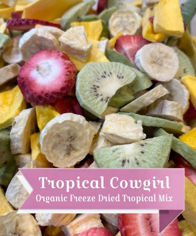Freeze Dried Fruits and Gourmet Nuts
