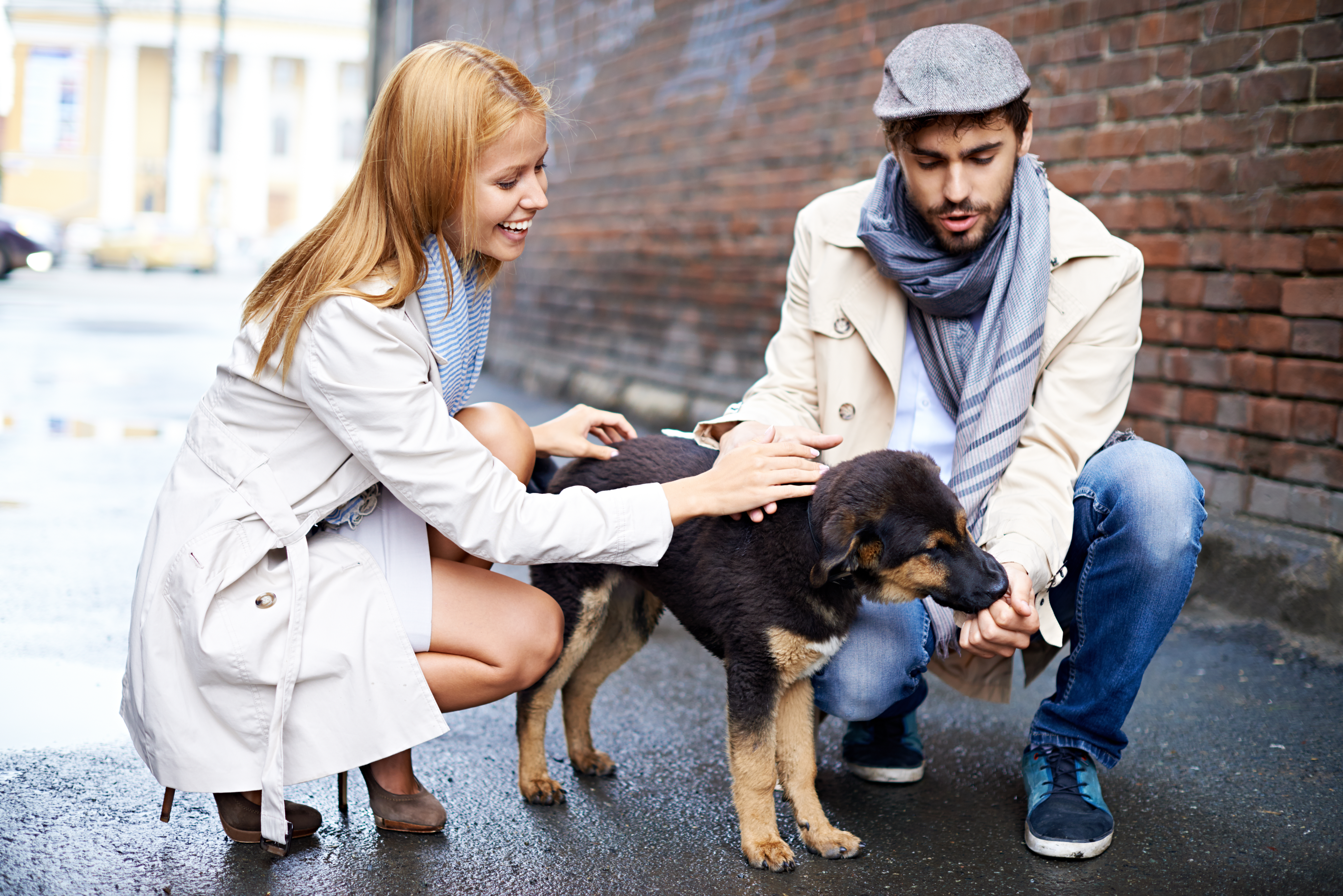 Become a Shelter Agent